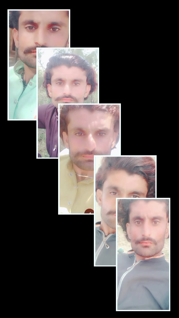 @پیر بخش رئیس