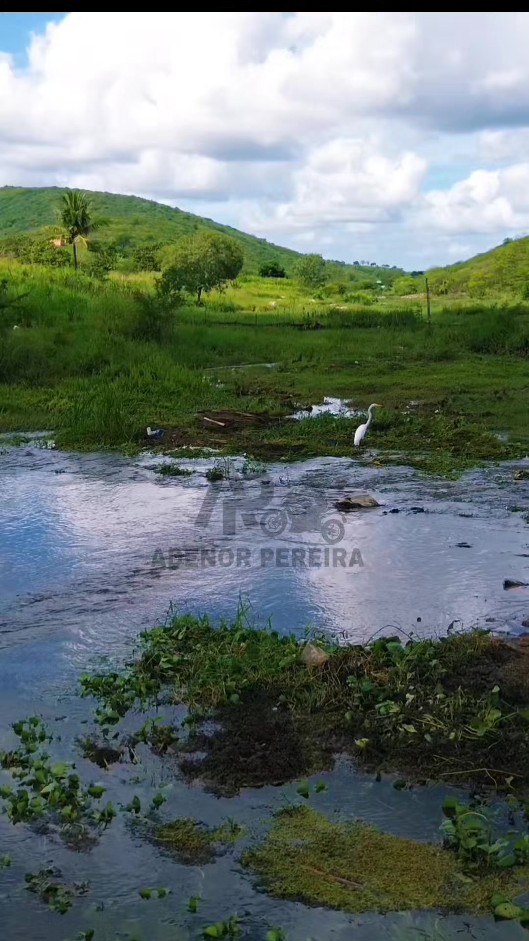 @adenor_pereira