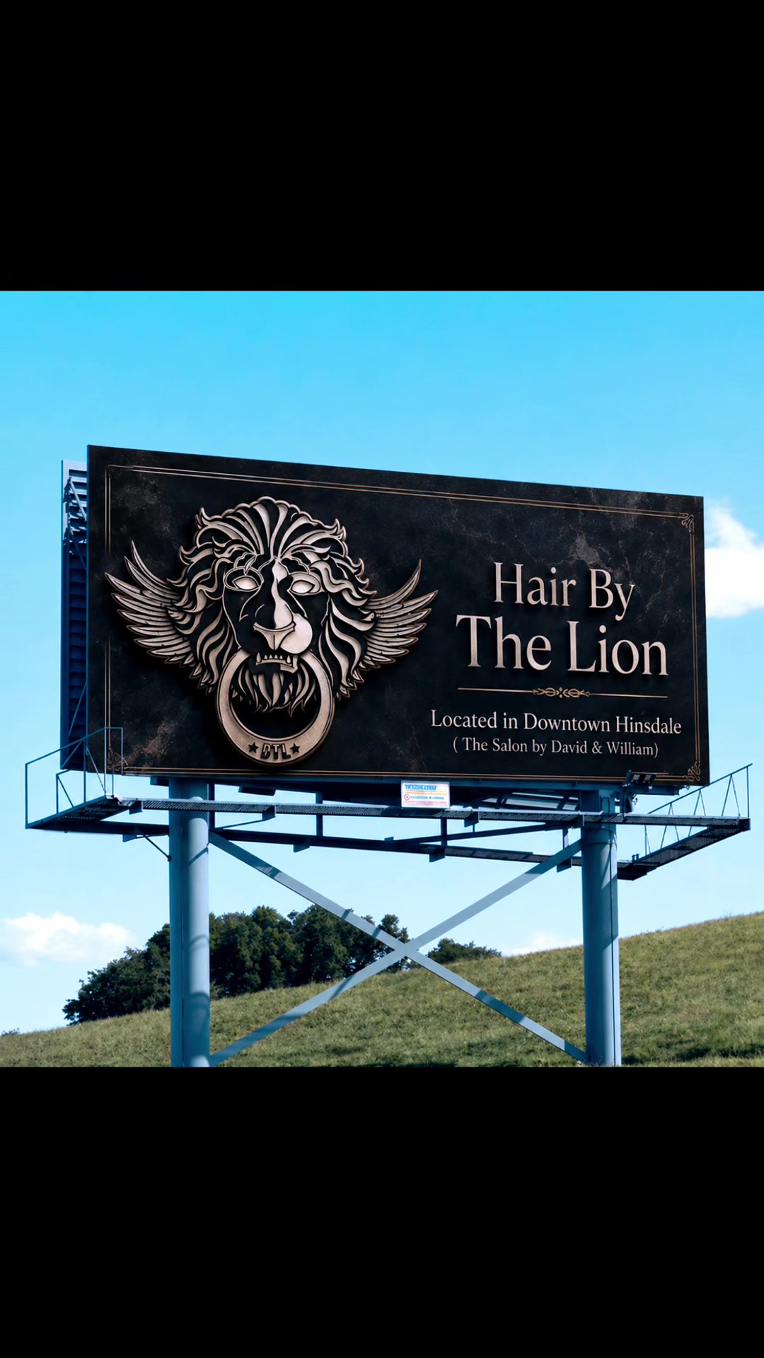 @David The Lion ✂️