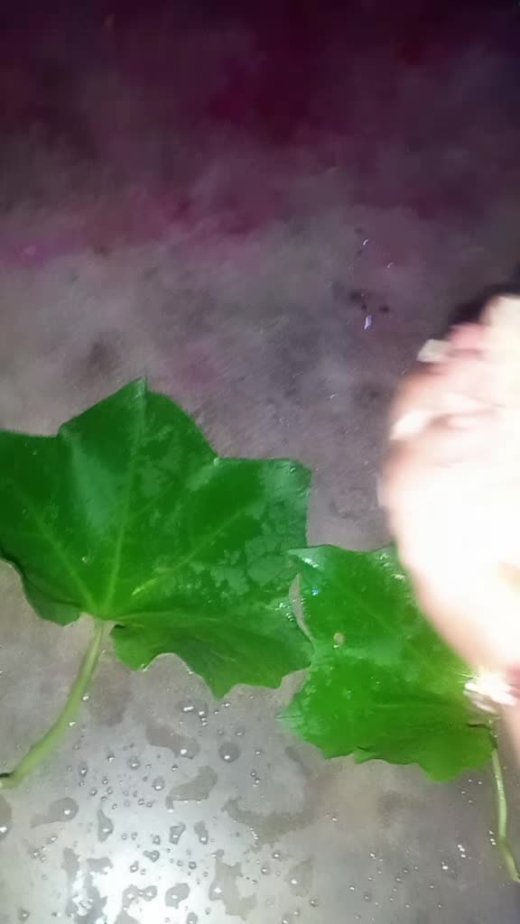 @Pagal ko gf kastw hola