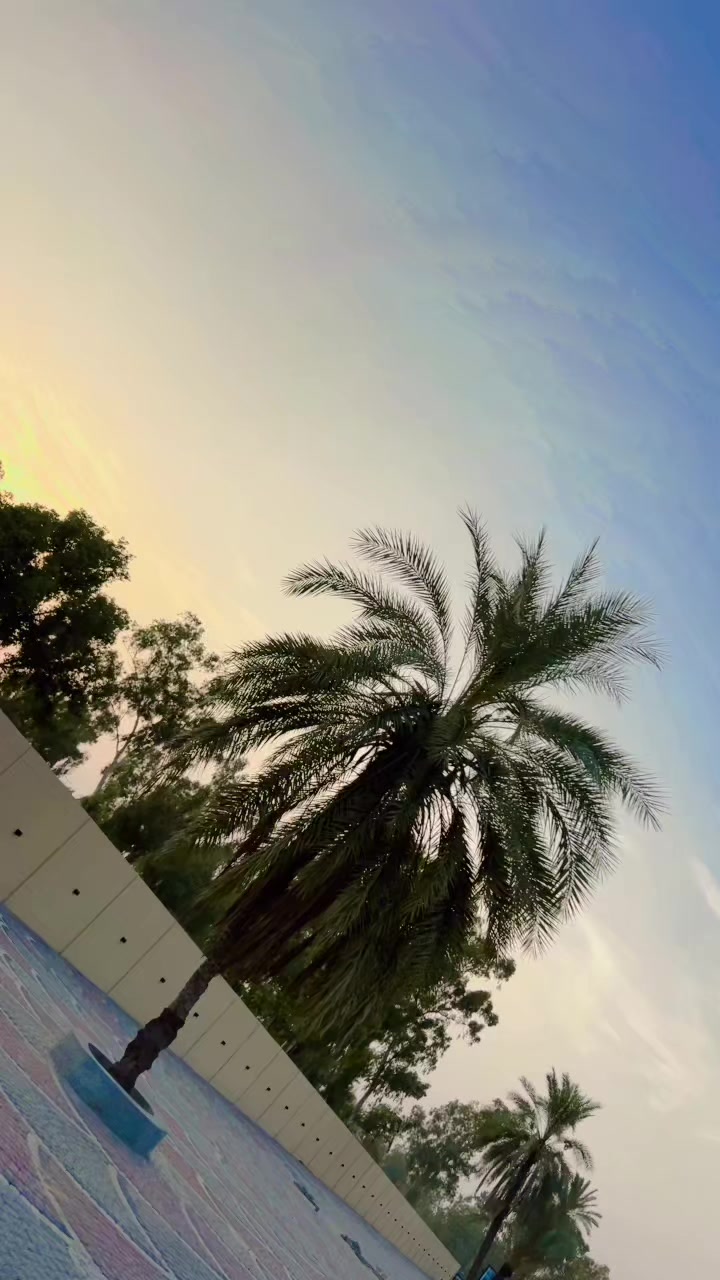 @- 𝙍 𝙄 𝙕 𝙐 𝙐 🫀ャ
