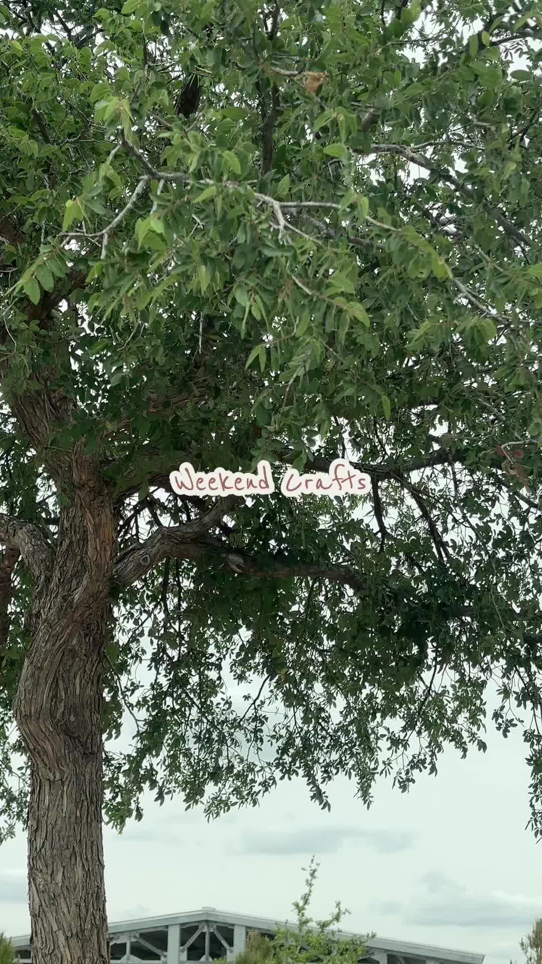 @Megan M