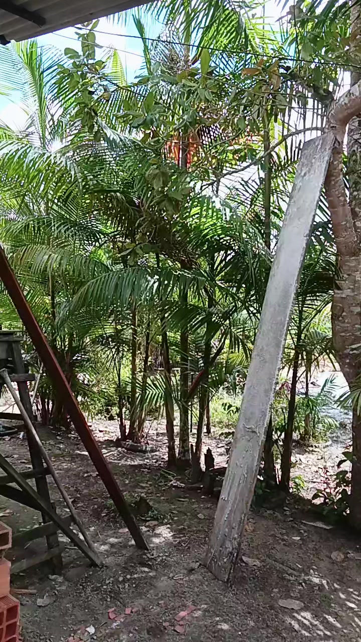 @LUCIANO DOS TECLADOS OFICIAL