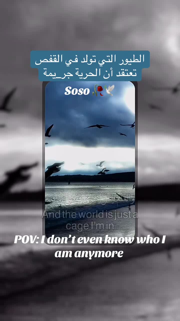 @༊෴✿ سوسو ✿〄࿐