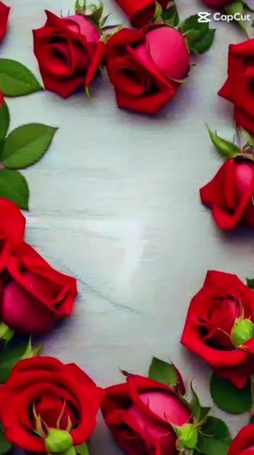 @Виктория Крецу