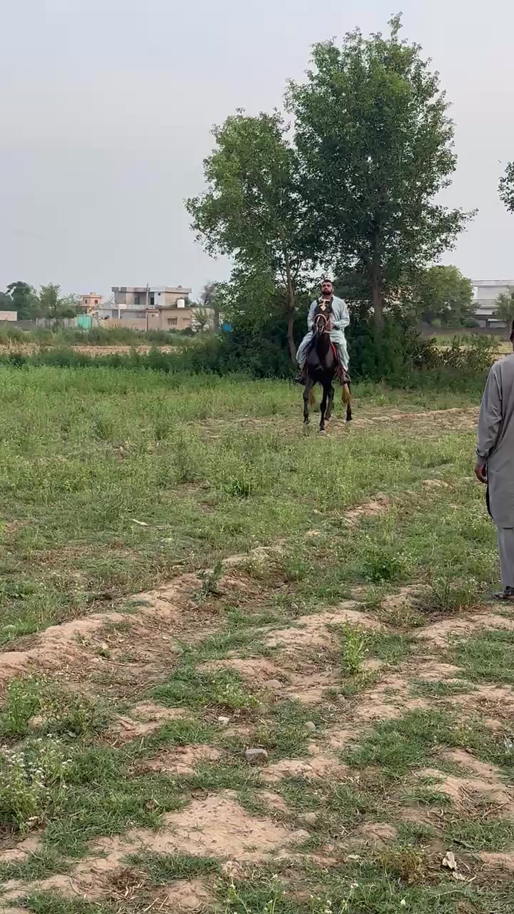 @Pehlwan Qadeer jatt
