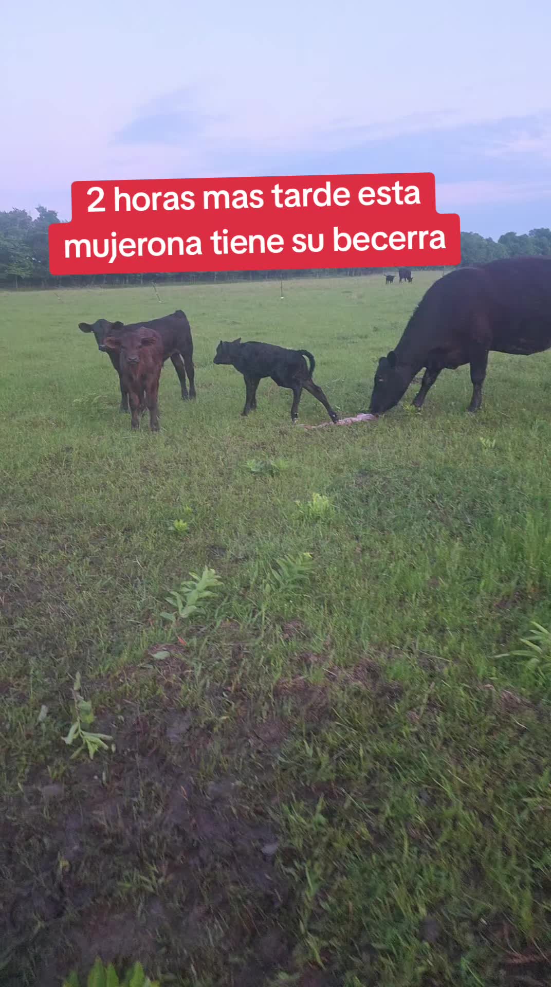 @mayte.famersRanch🐄🐃🐂🐑