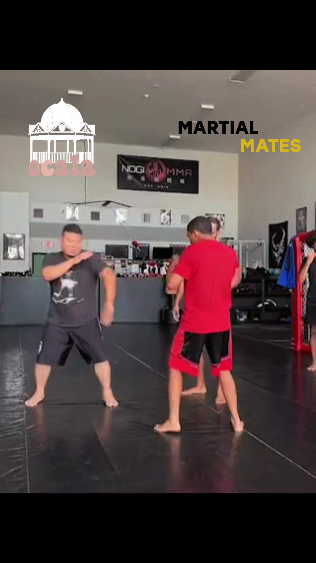 @masterzapata7dan