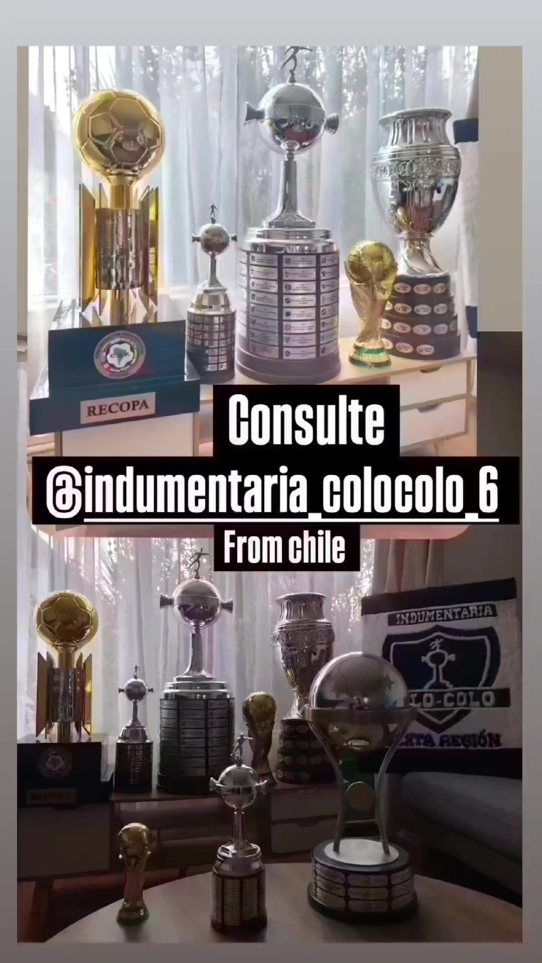 @indumentaria_colocolo_6