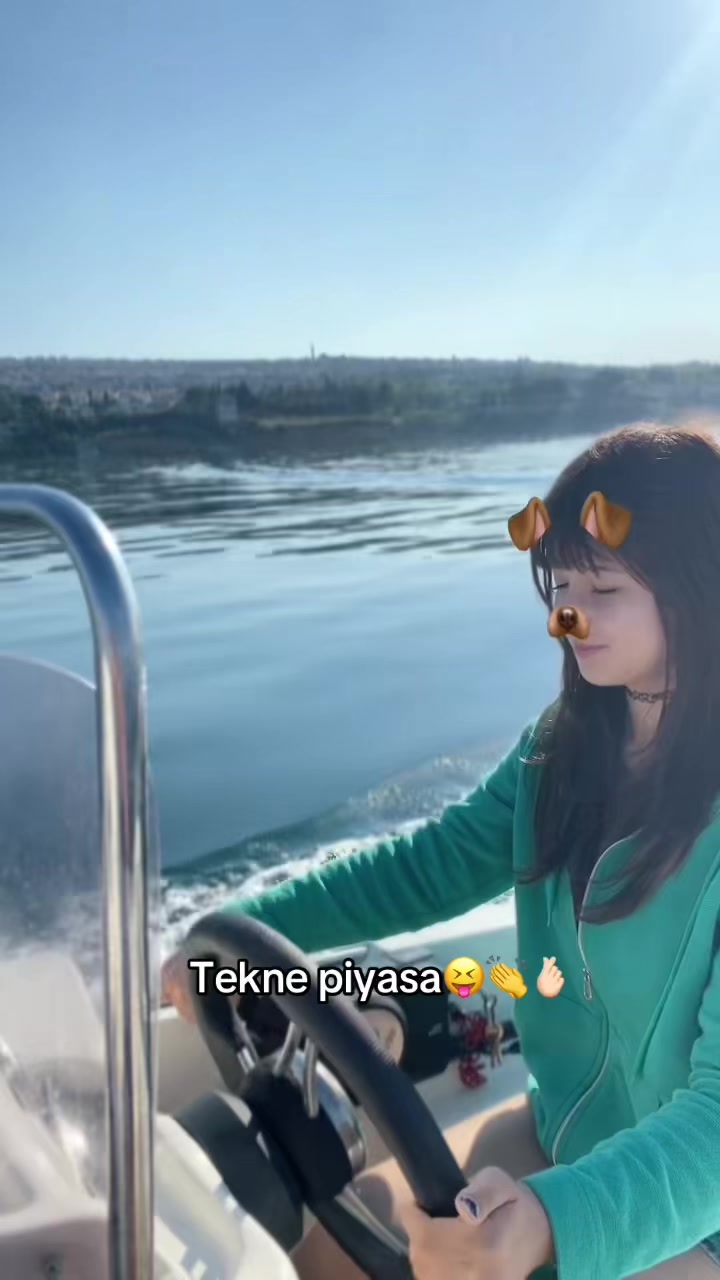 @bursaliiskender