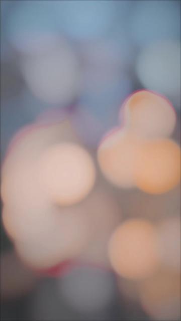@𝓌𝓀 𝓌𝒶𝓆𝒶𝓈