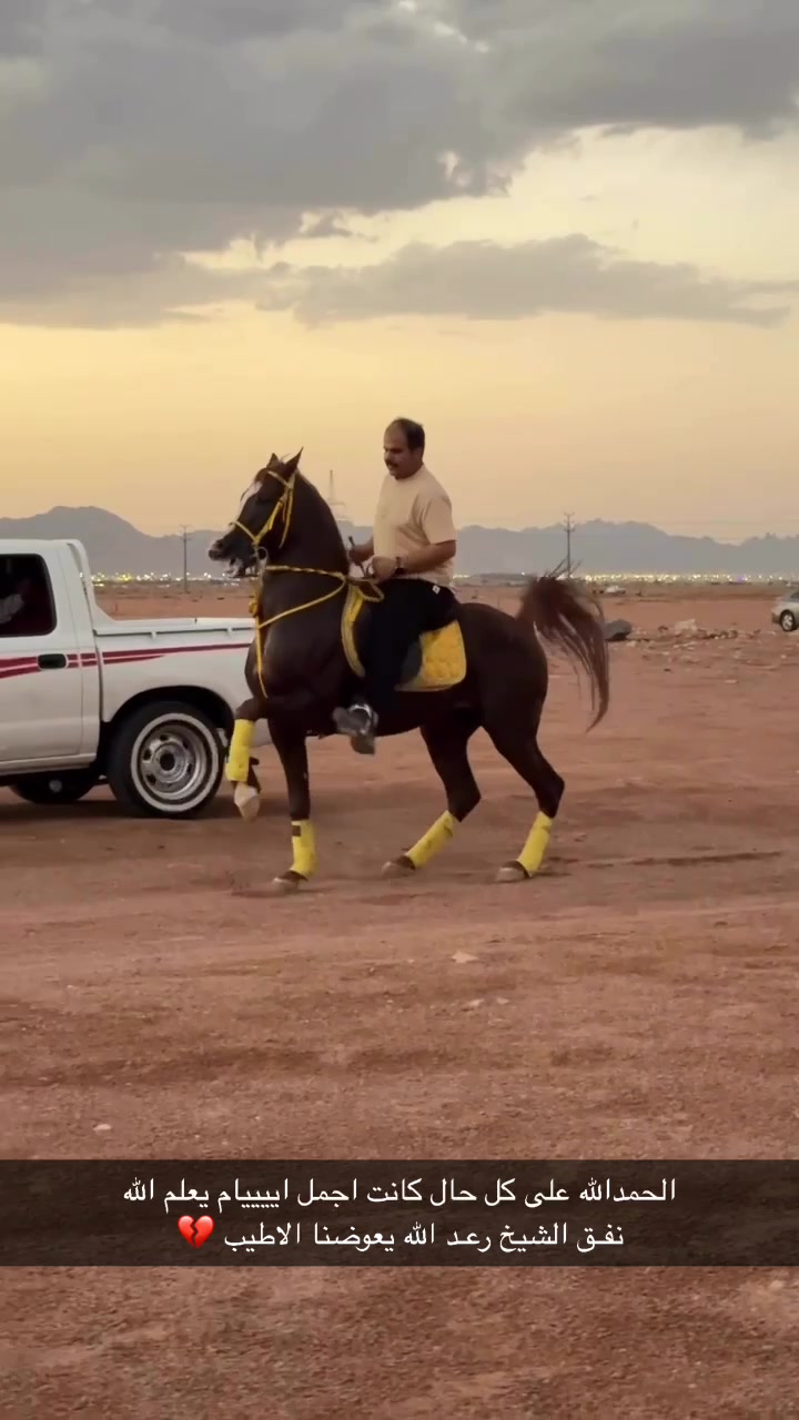 @ثاني الشمري 🎠