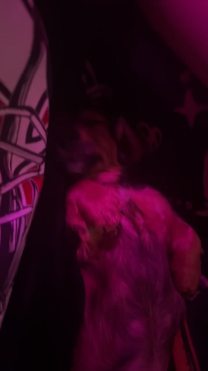 @♱ ℭ𝔥𝔢𝔩𝔰 ♱