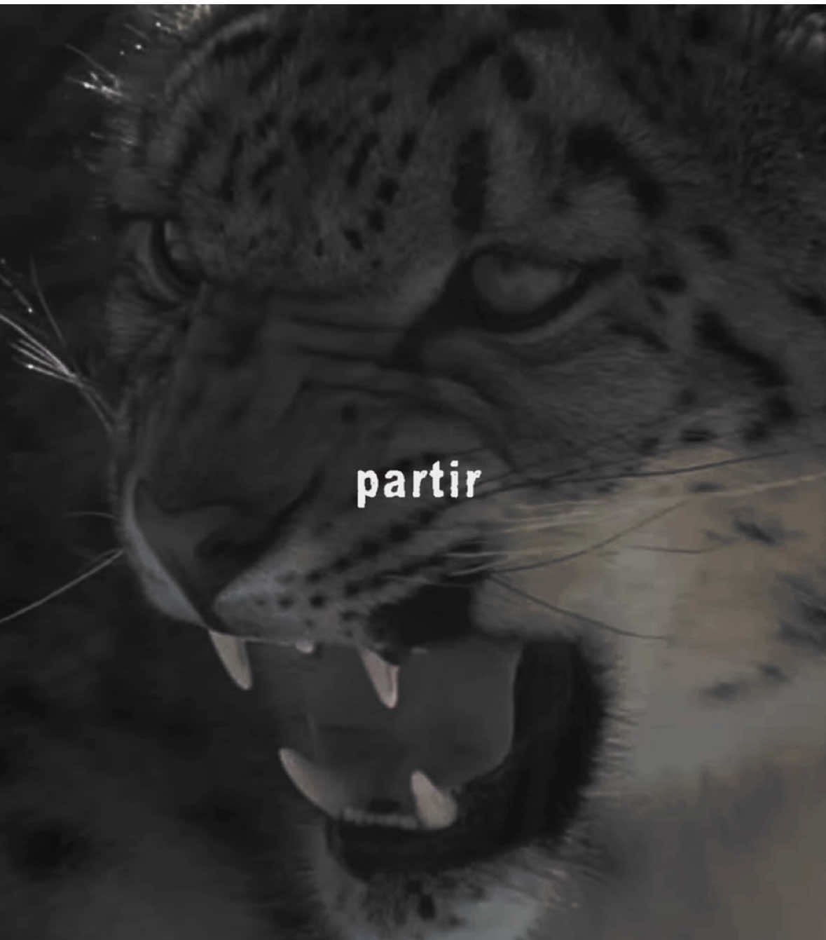 @𝖾𝗏𝗋𝗌𝗇𝖼𝖽