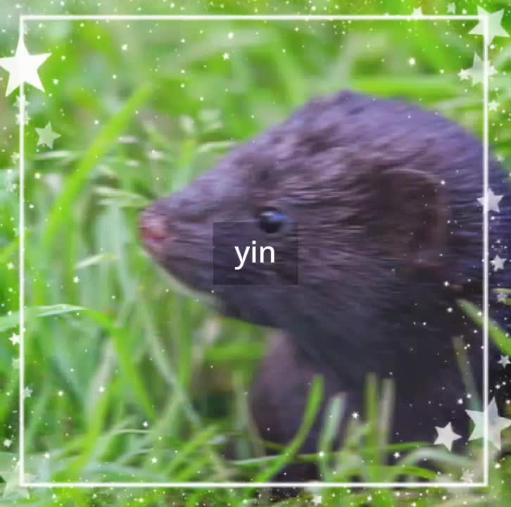 @⧼•∘₵ค𐌋เ͔͖̜̉͌ςØ_өҋ_ฬђєєᥣɀ˙∘•⧽