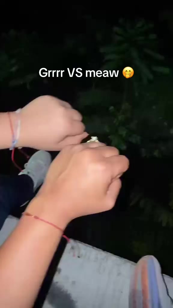 @v&iota;cĸy avalos