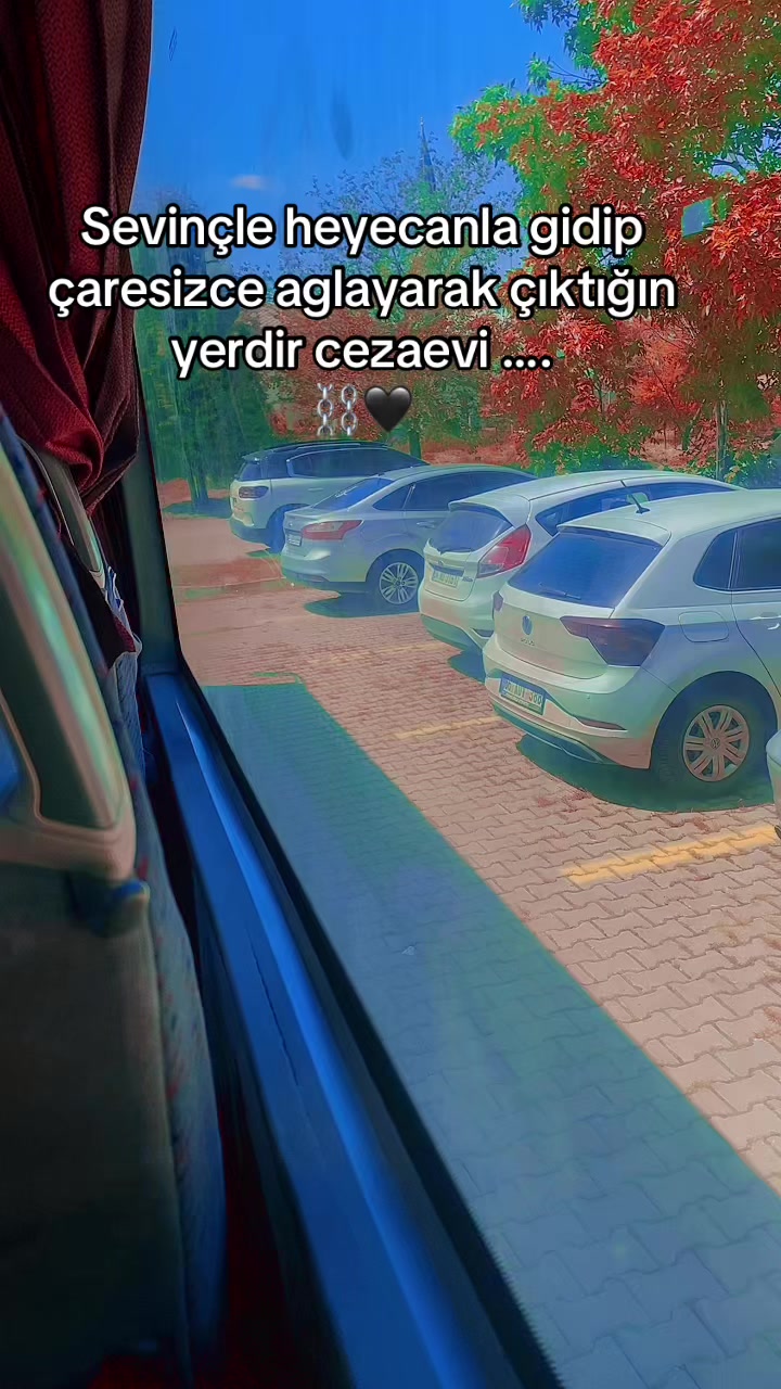 @gizemlibiri245
