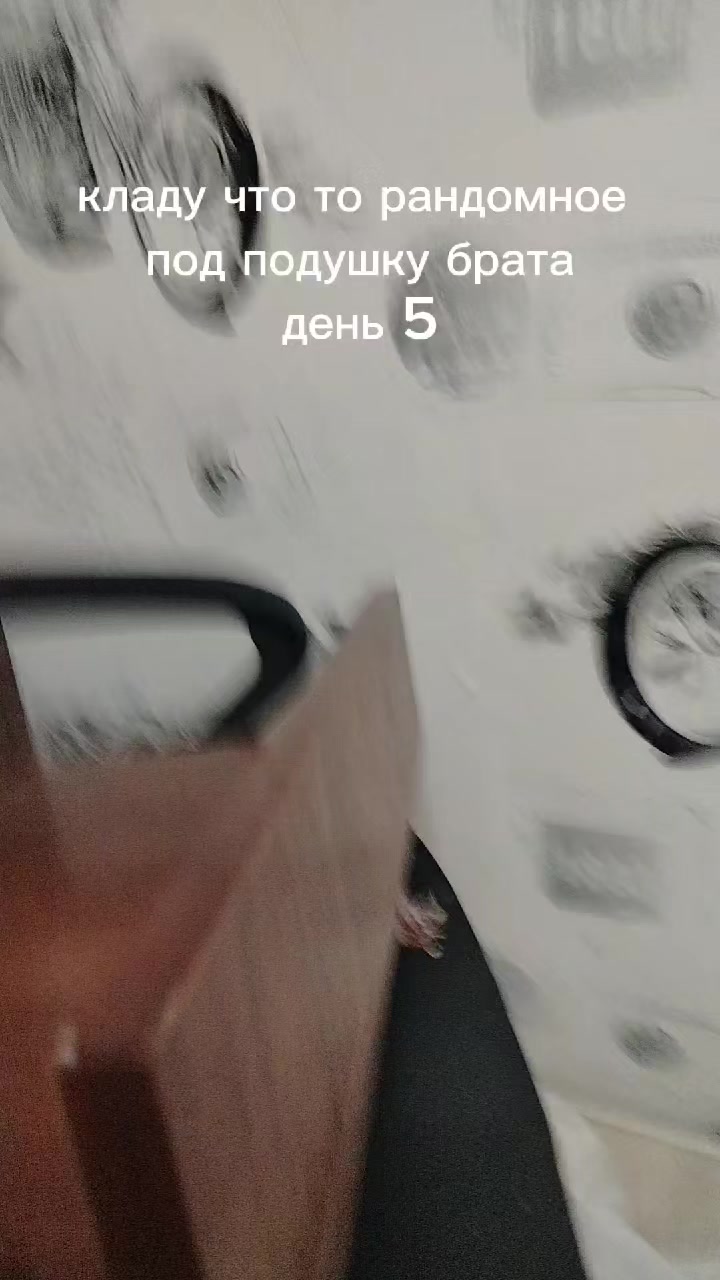 @крутая собака☑️