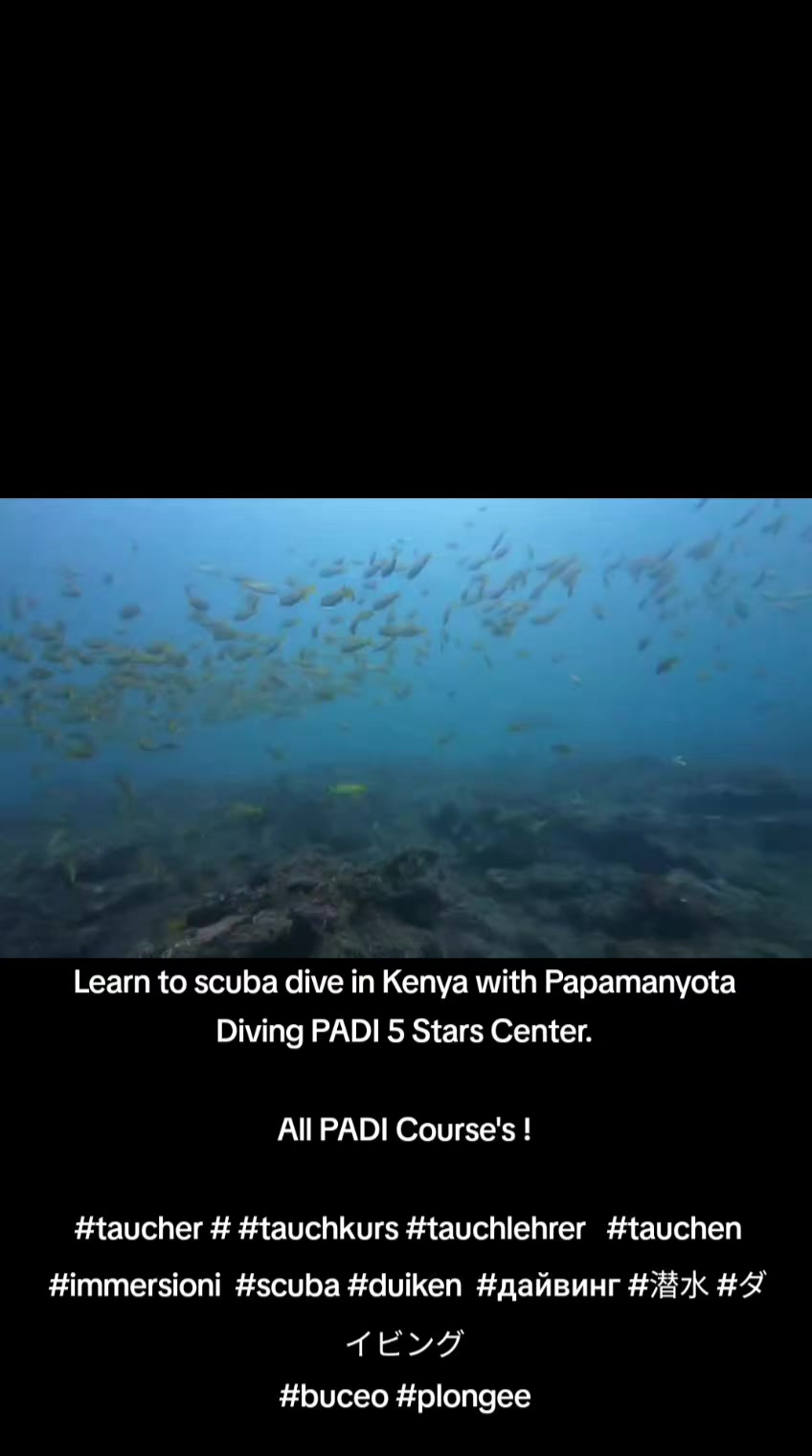 @Papamanyota dive centre kenya