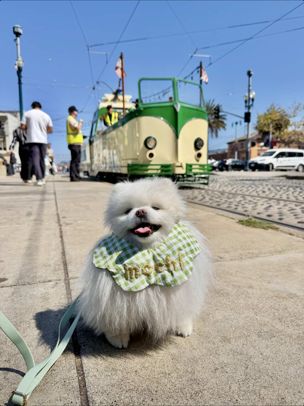 @lil.fluff.ball_mochi