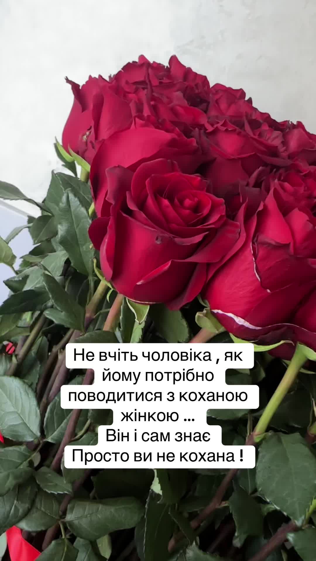 @Lesley Antoniuk