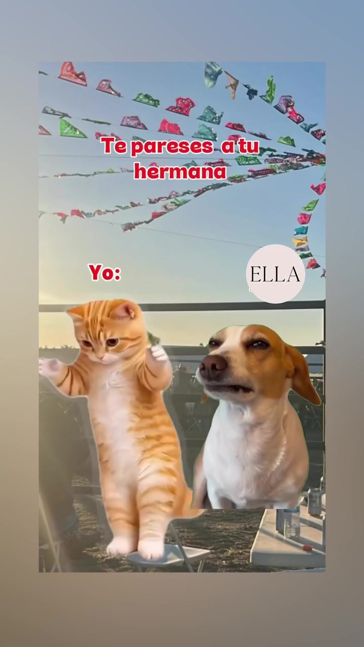 @🌻𝐋𝐮𝐜𝐲🫶🏼 🎤🩵