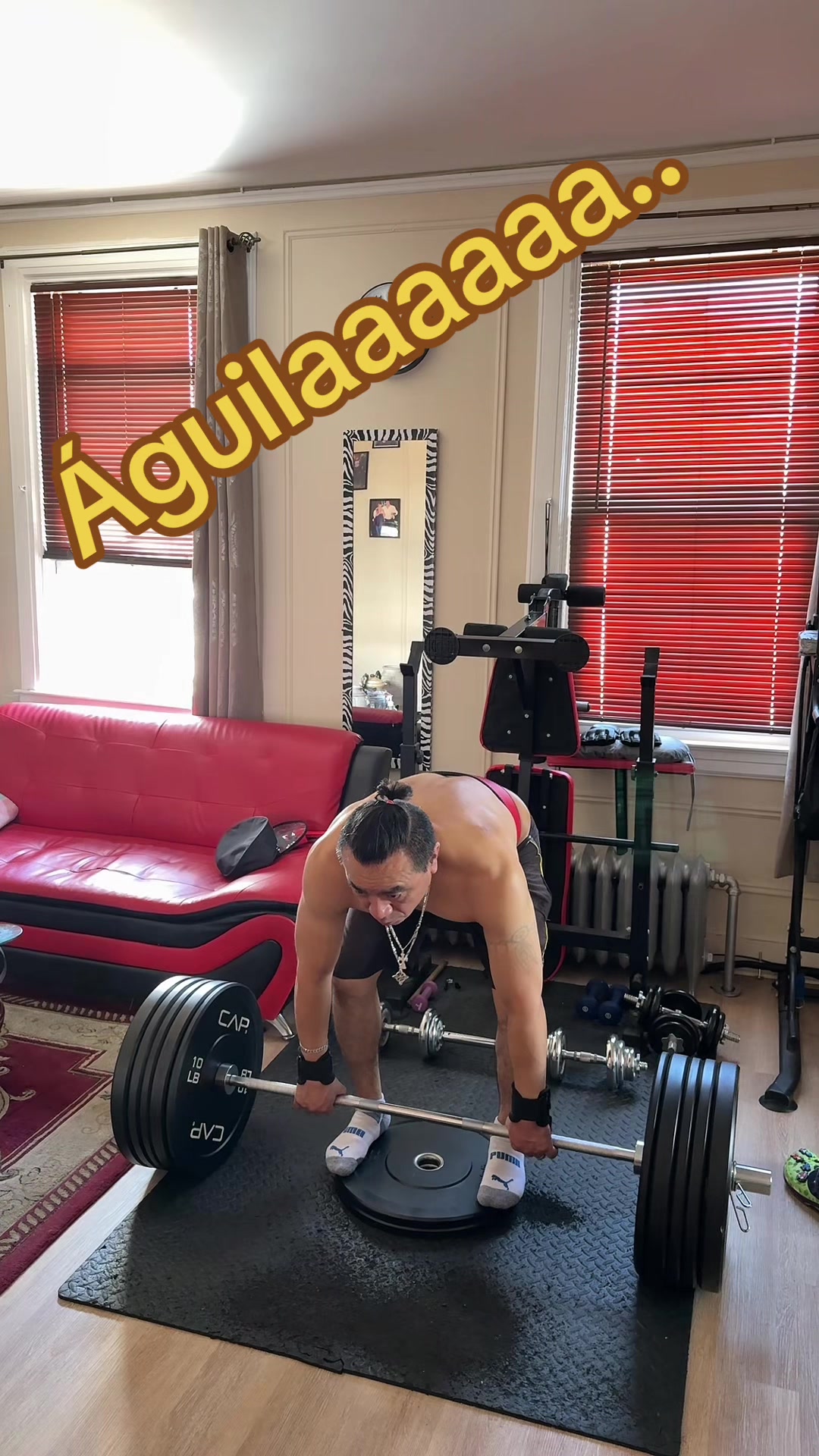 @Águila poderosa 🦅