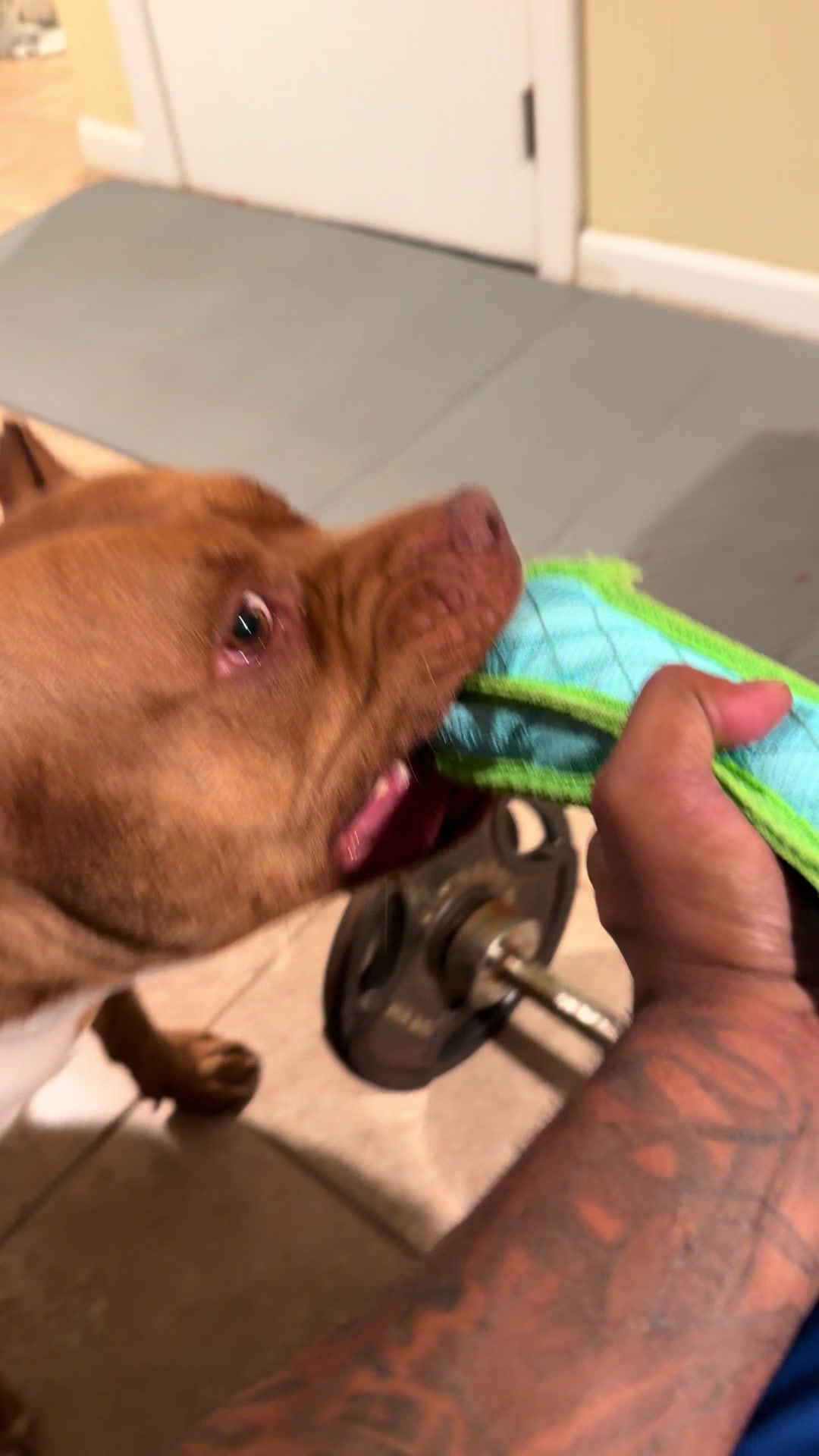 @kalsdad