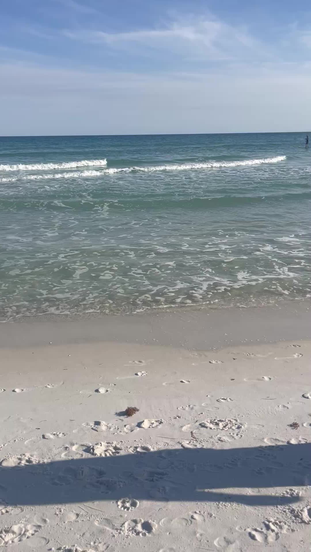 @MississippiMama