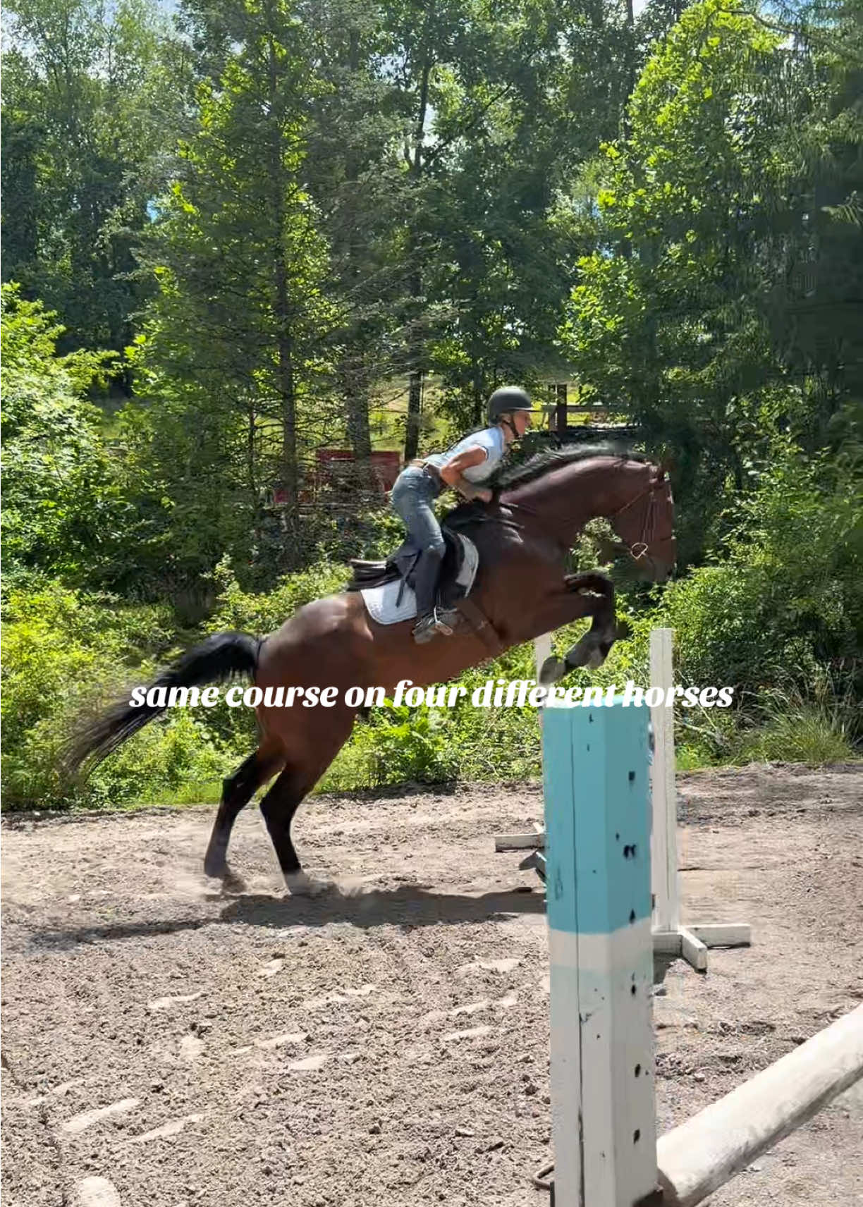 @Lunar Hill Equestrian