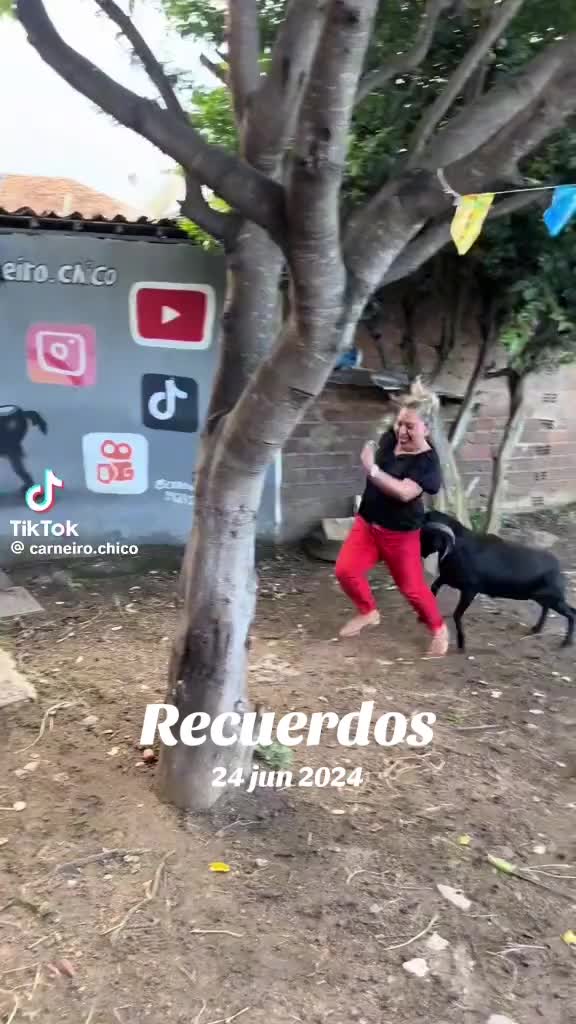 @rubencarrizalez65