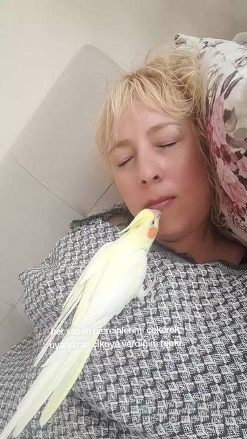 @HEPİNİZE DERT OLACAM BAK GÖR👀