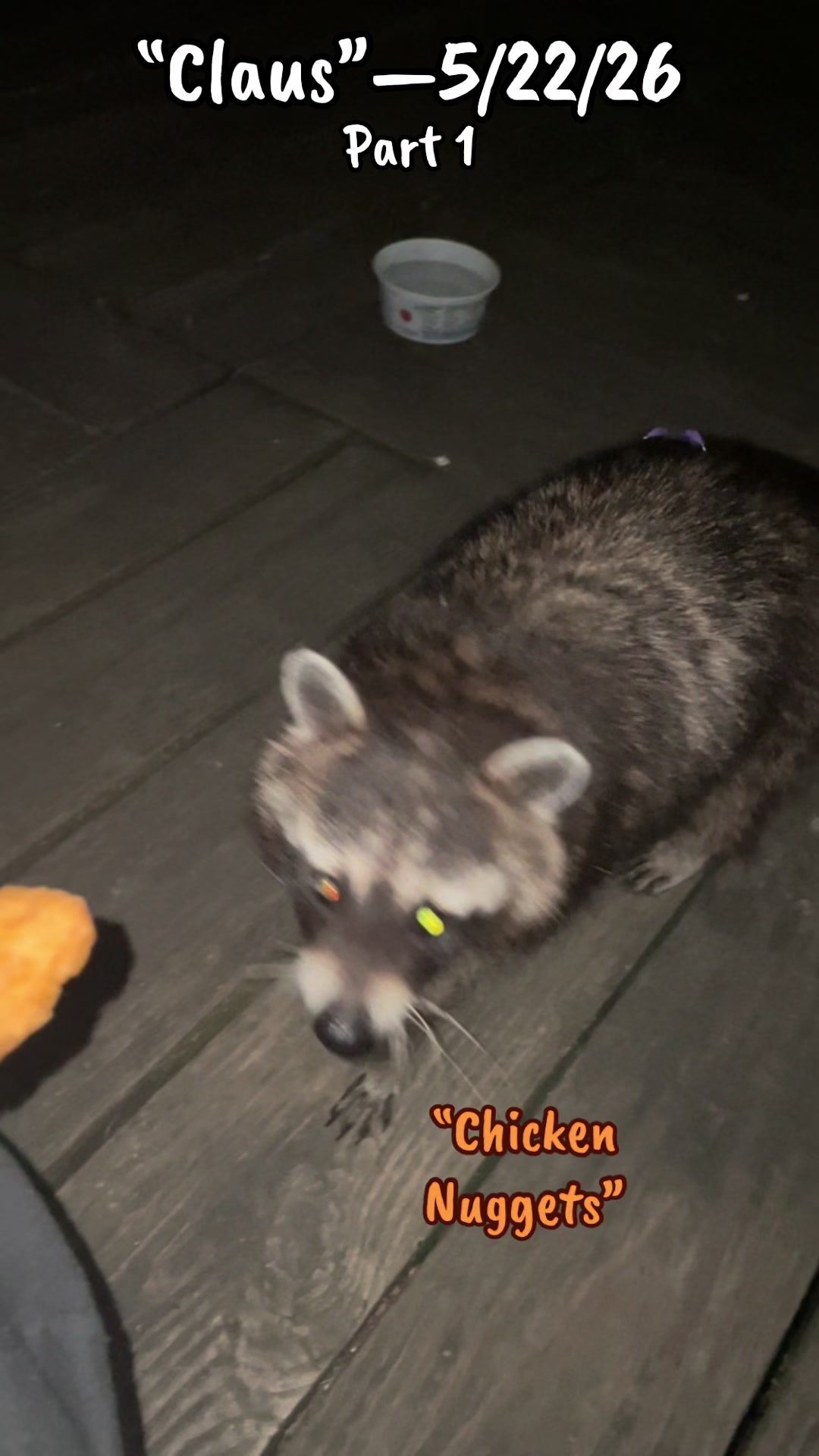 @LoneWolfKritterKam