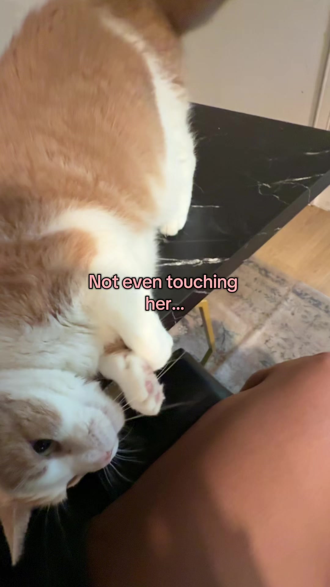 @ajlaaaaa