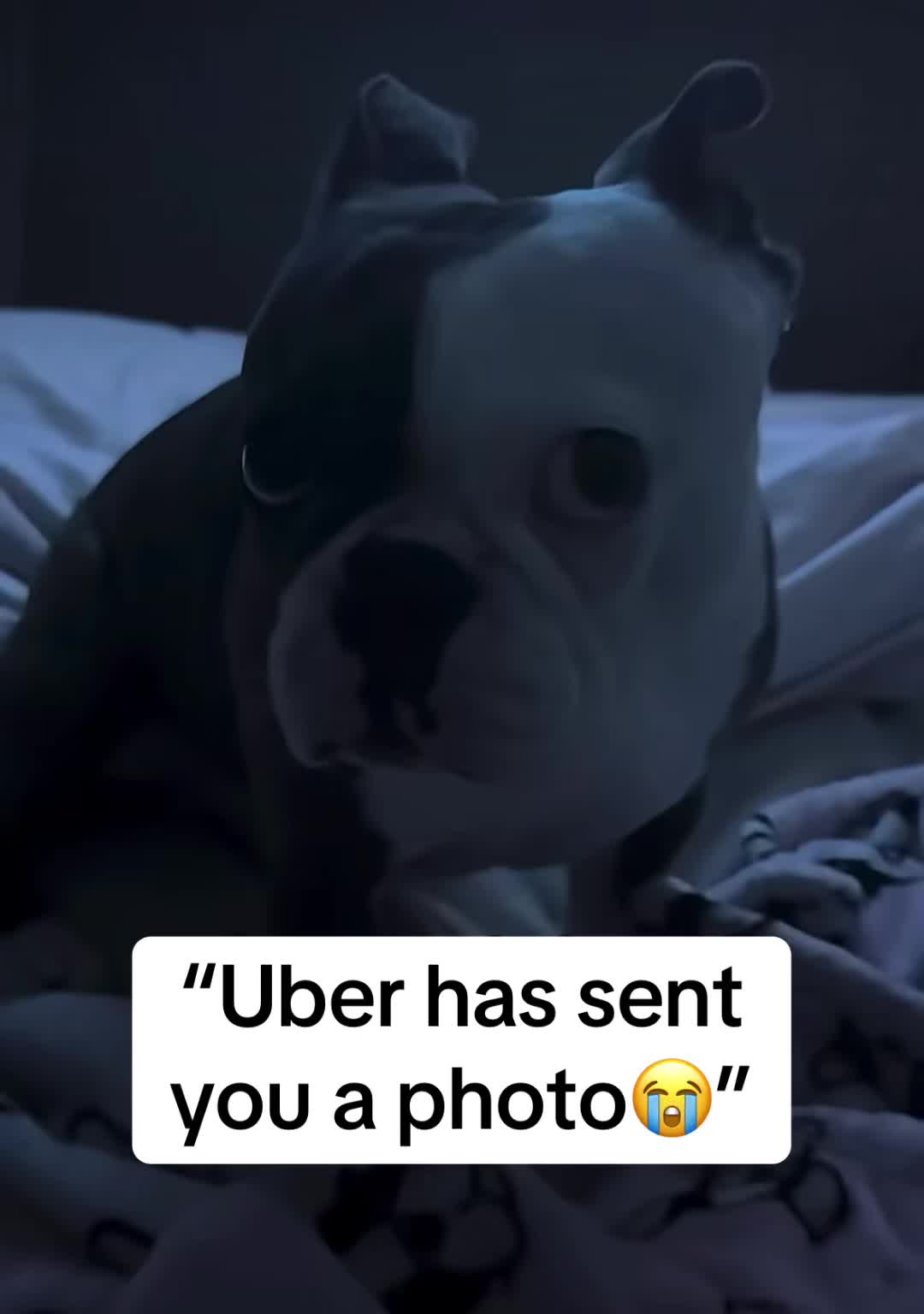 @V2Memes