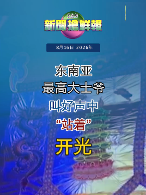 @中国报