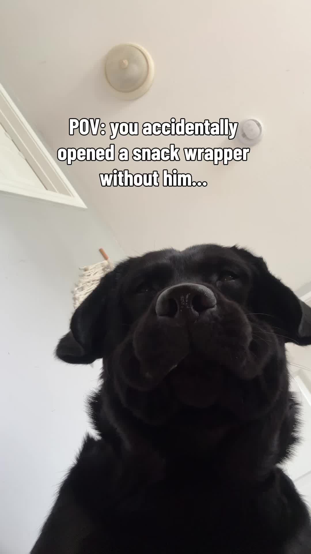 @DennisTheBlackLab