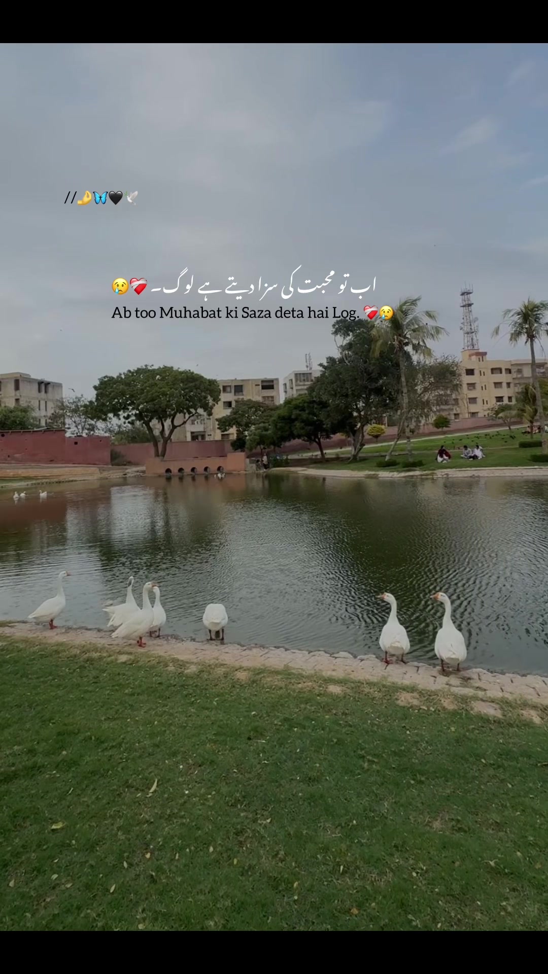 @Khattak 01:)🦅