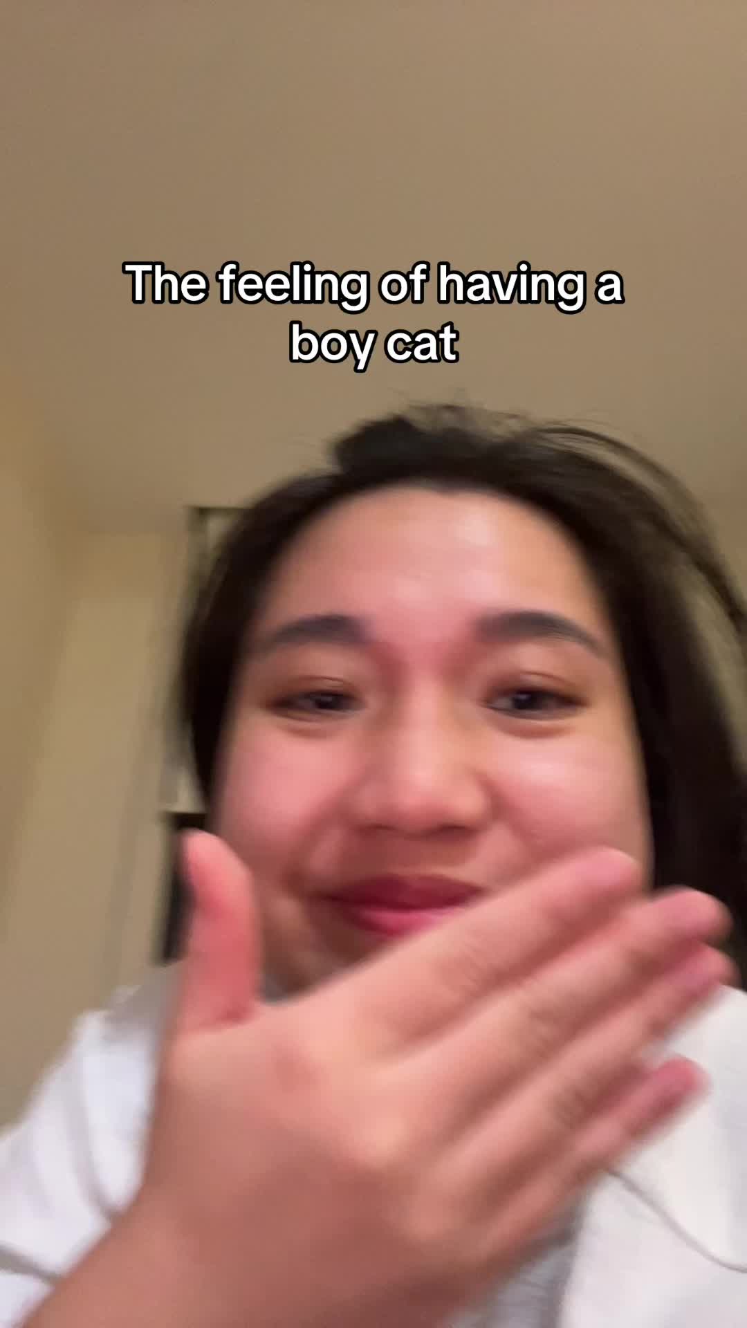 @Mozzie The Cat