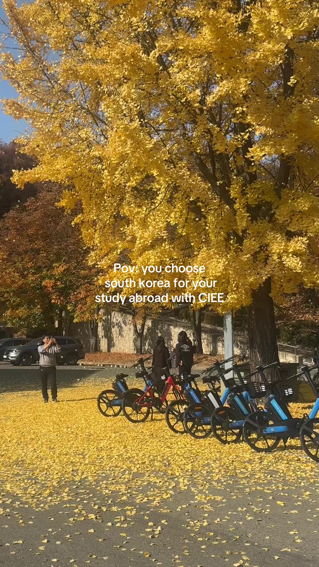 @Candace Cochran