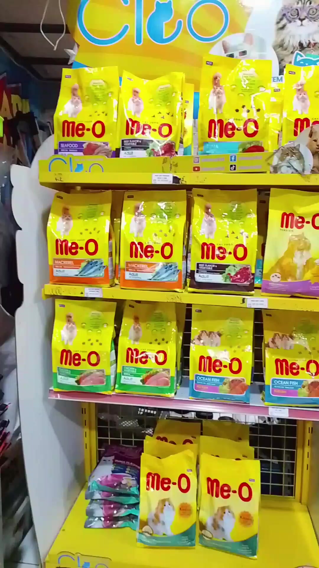 @Grosir Hammielion Petshop
