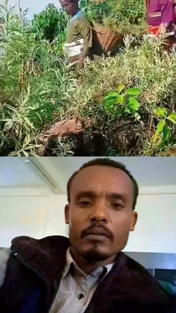 @Tesfahun Hailu/ና በይኝ ወምበርማ/