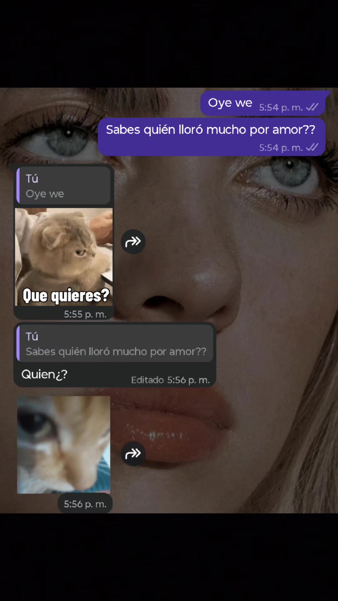 @Feeer