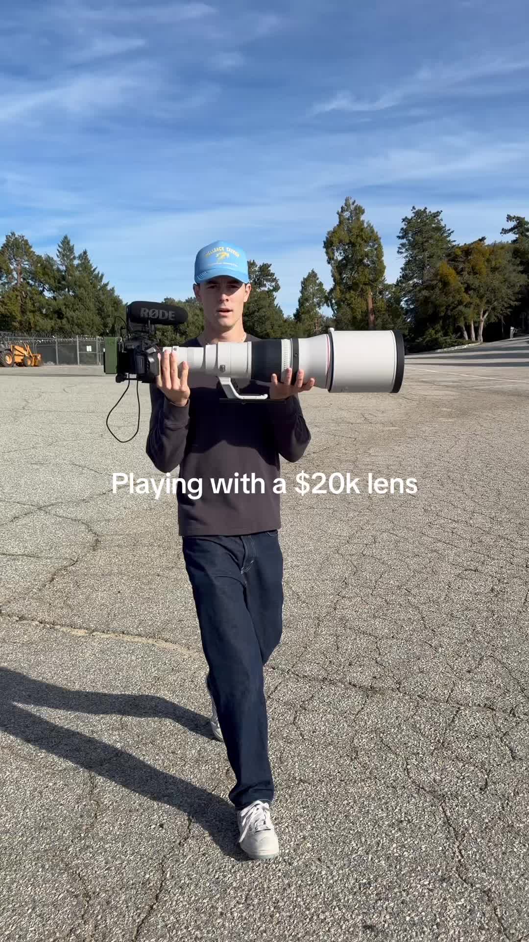 @SetWillFree