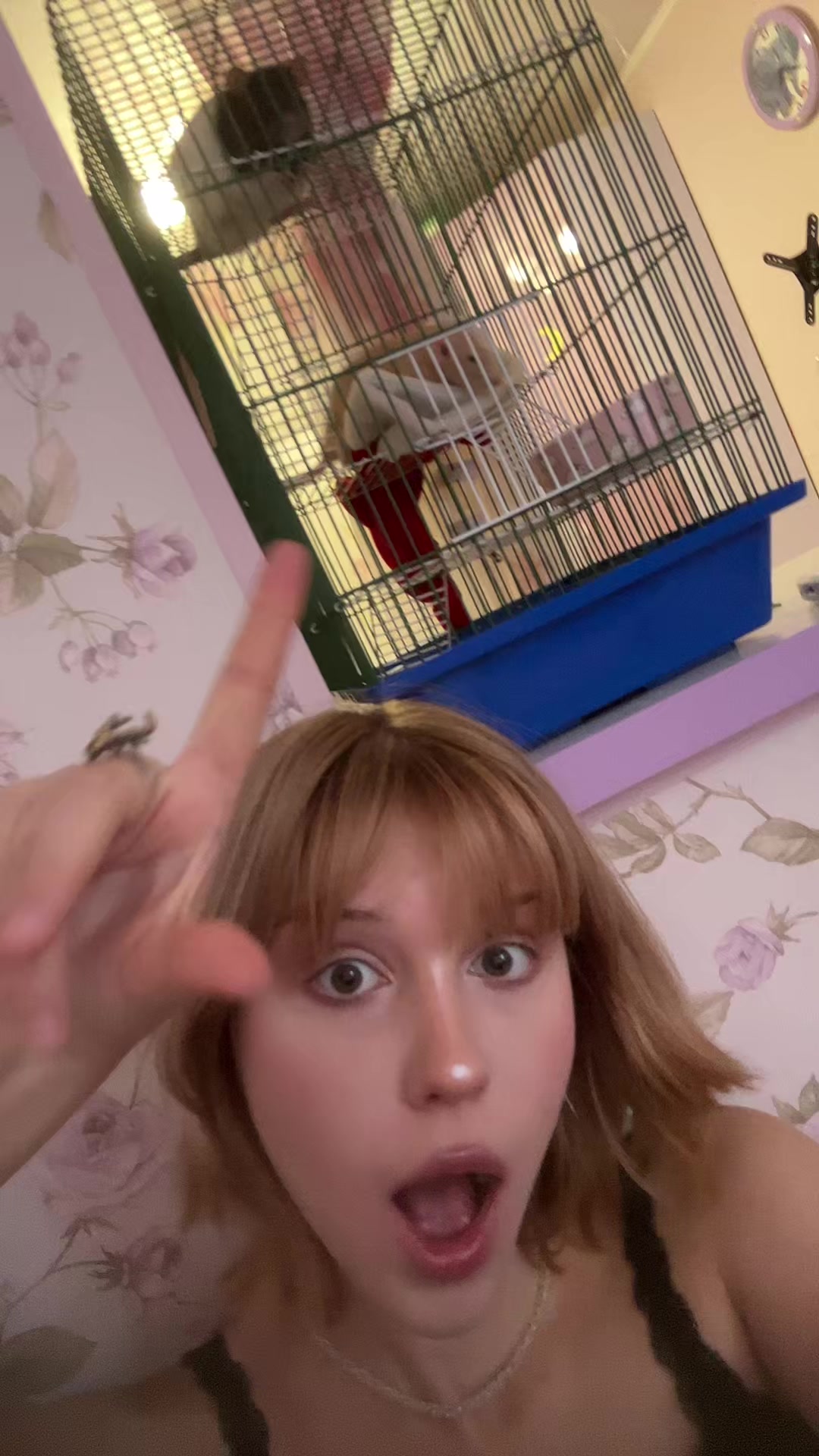 @наzzzтюшкинс
