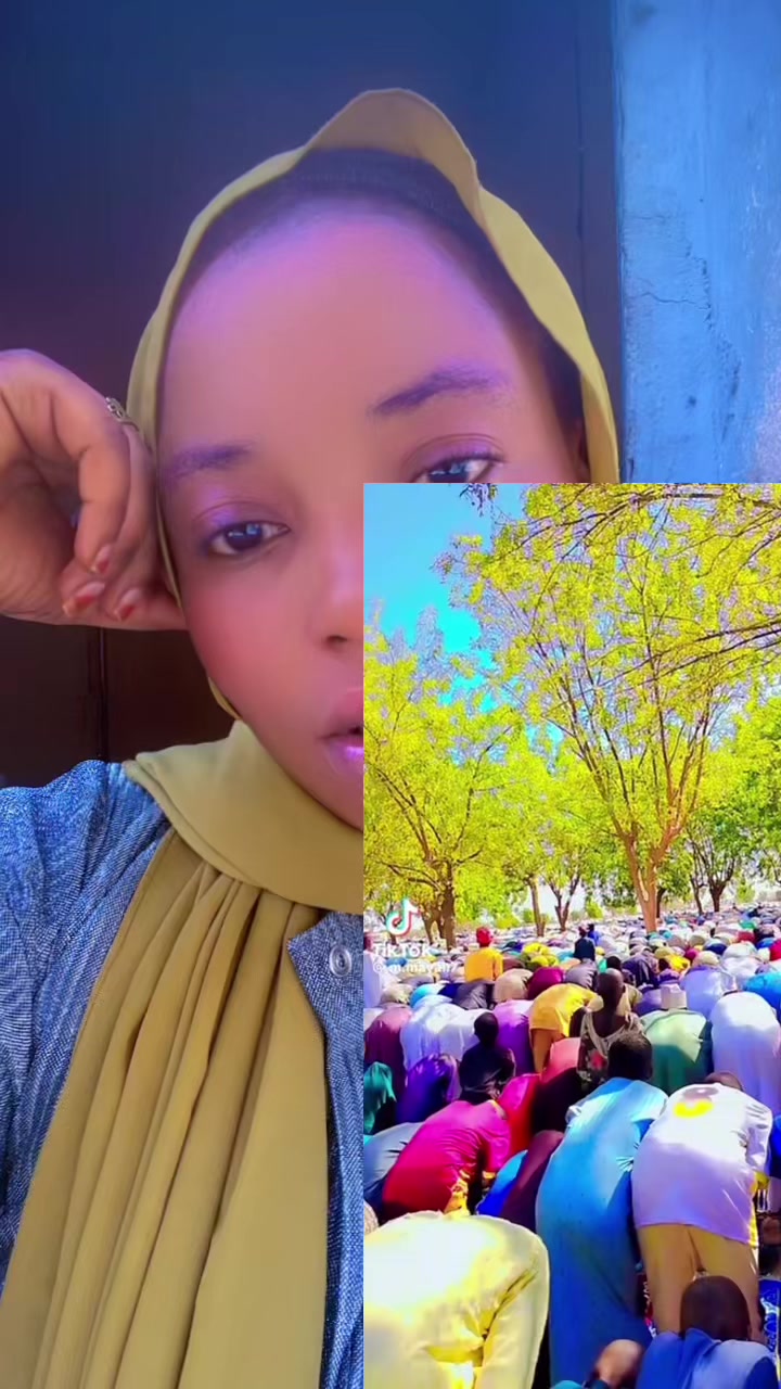 @Feedy bauchi -backup