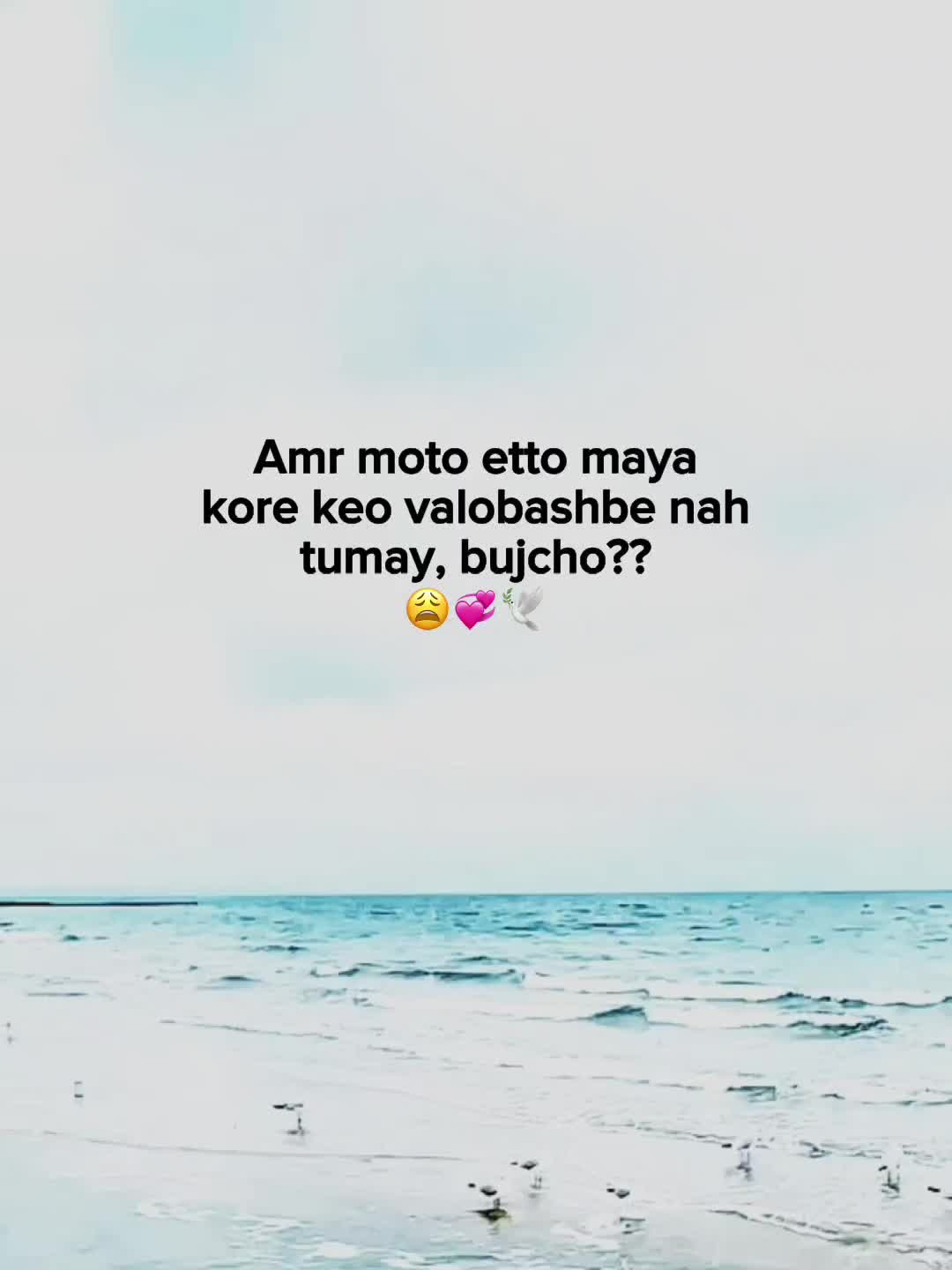 @๐๐ถ๐ต๐ฎ๐ฑ ๐ฏ๐ต๐ฎ๐ถ๐๐ฎ'โก๐ท๏ธ