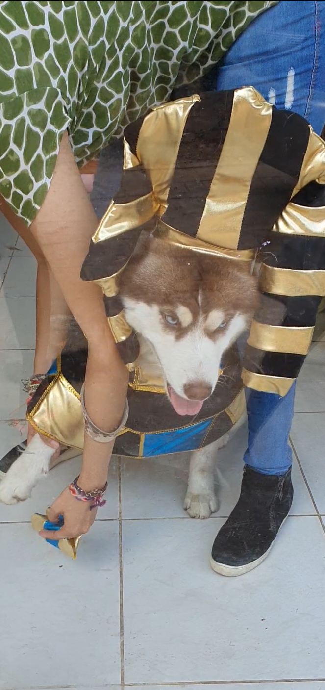 @Woof Bolivia