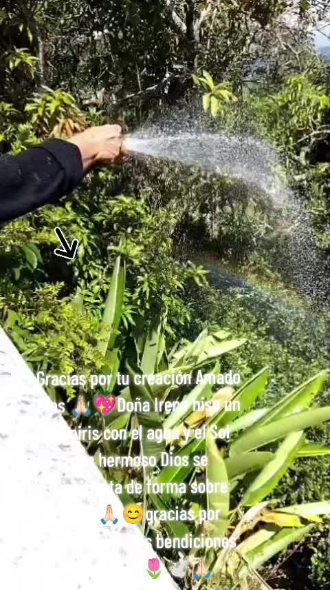 @Days Pérez