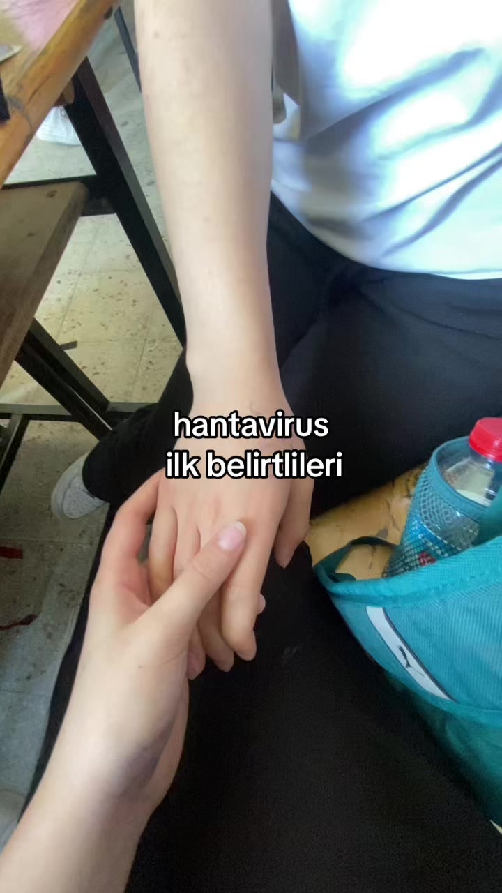 @sarikafa